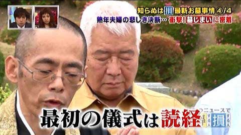 テレビで取り上げられました