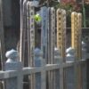 塔婆の写真