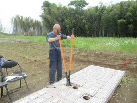 手作りの樹木葬