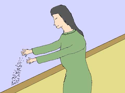 海の散骨のイラスト