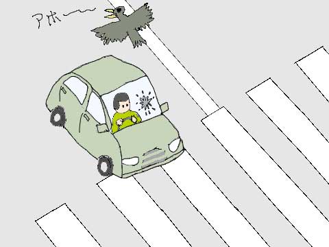 車の窓に鳥の糞のイラスト