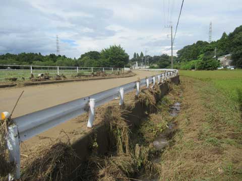 千葉の大雨