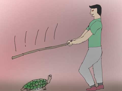 亀