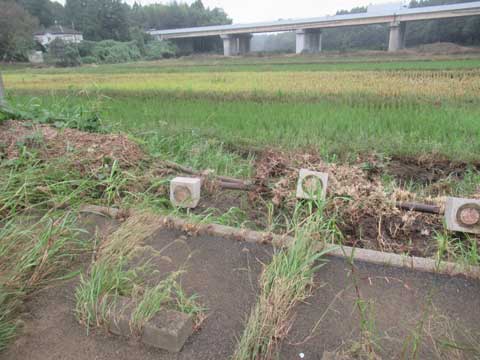 台風後の大池